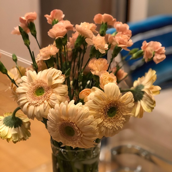 Meet your Posher, Nedda - Picture 1 of 1